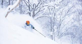 Japow Hokkaido